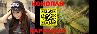 сатива Будённовск