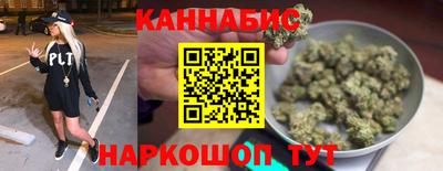 сатива Будённовск