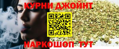 сатива Будённовск